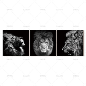 Lion art prints Wall