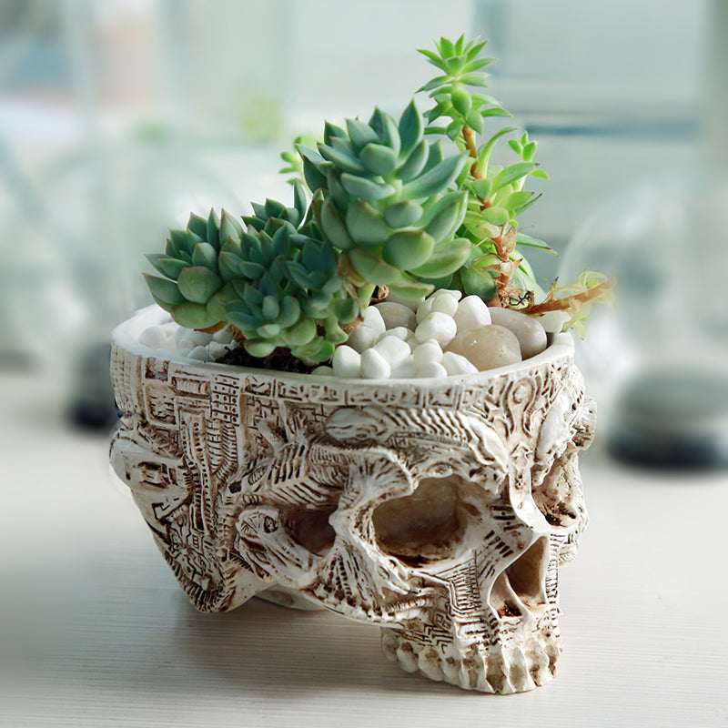 Human Skull Bowl