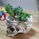 Human Skull Bowl