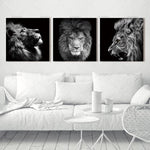 Lion art prints Wall